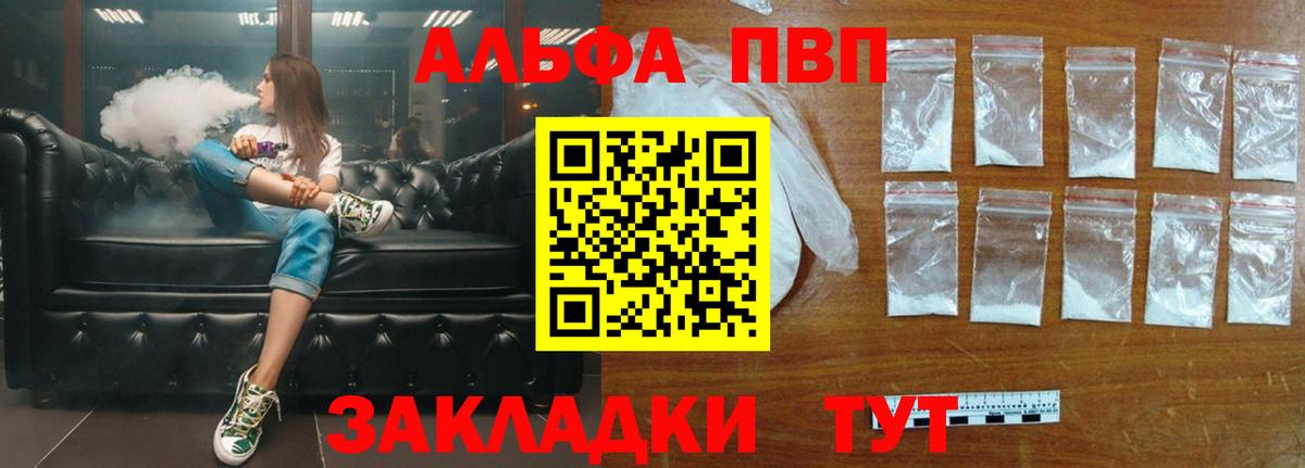 Альфа ПВП СК КРИС Урус-Мартан