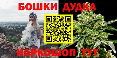сатива Обь