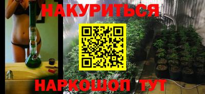 сатива Обь